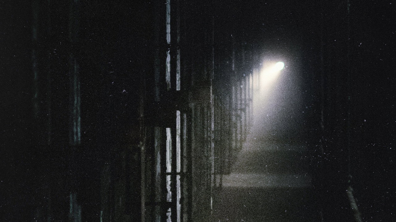 La maldición de Shelby Oaks